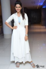 Rakul Preet Singh at Sarrainodu Movie Success Meet